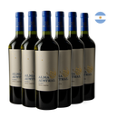 Kit 6 Alma Austral Vinho Malbec 2020