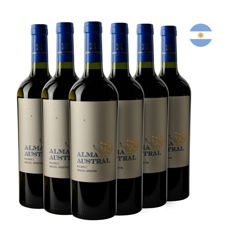 Kit 6 Alma Austral Vinho Malbec 2020